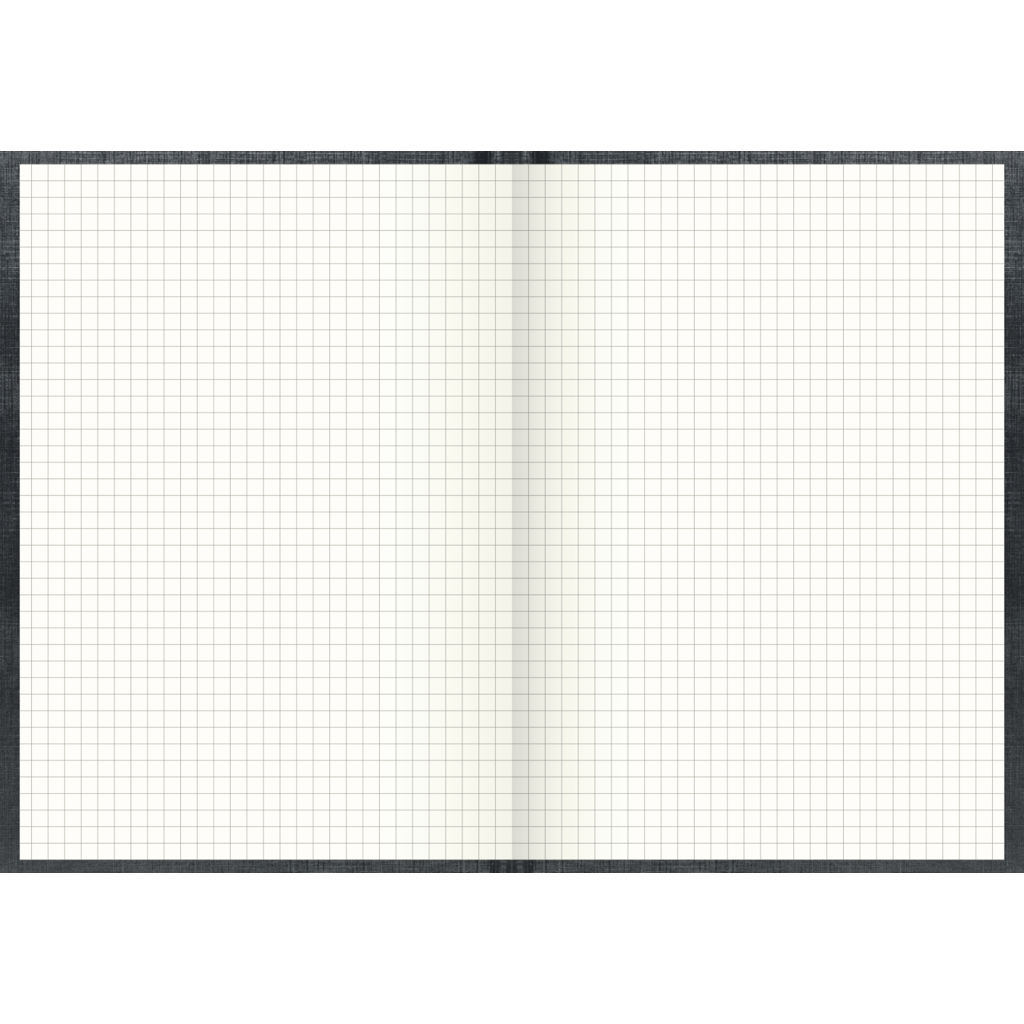 Geschäftsbuch, A5, 96 Blatt / 192 Seiten, kariert, Deckenband, 80 g/m², grau