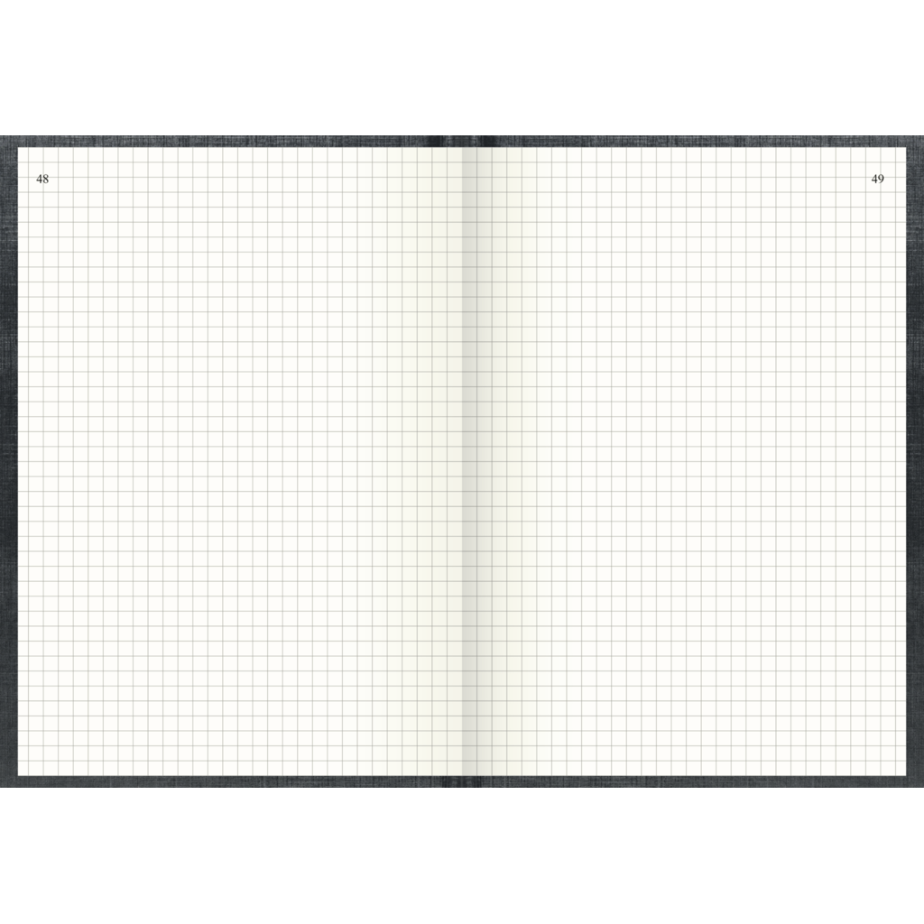 Geschäftsbuch, A5, 144 Blatt / 288 Seiten, kariert, Deckenband, 80 g/m², grau