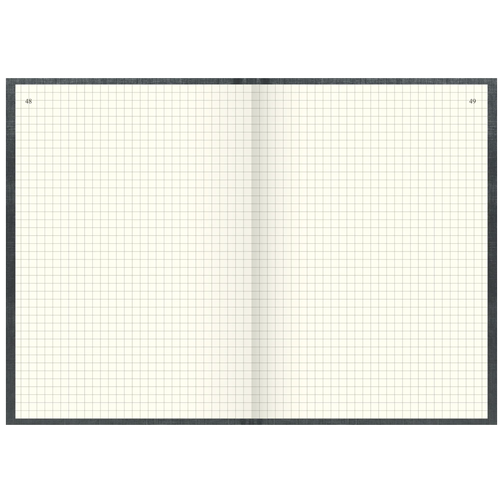 Geschäftsbuch | A5, 288 Seiten, mit Seitenzahlen, kariert, Kunststoff, grau