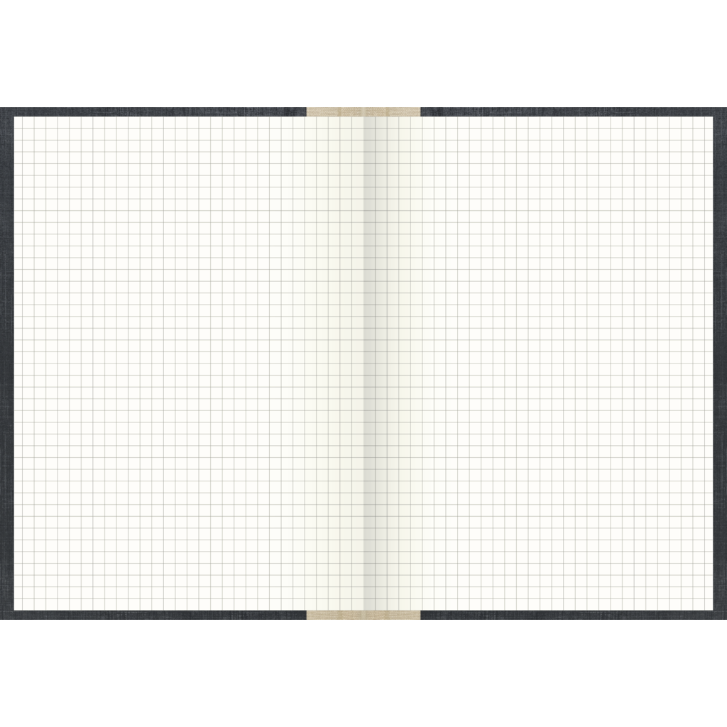 Geschäftsbuch, A5, 192 Blatt / 384 Seiten, kariert, Deckenband, 80 g/m², grau
