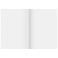 Kladde | A5, 96 Seiten, kariert, Karton, rot