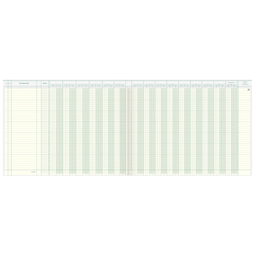 Amerikanisches Journal | 420×297 mm, 96 Seiten, Konten-Journal, Karton, magenta/hellblau