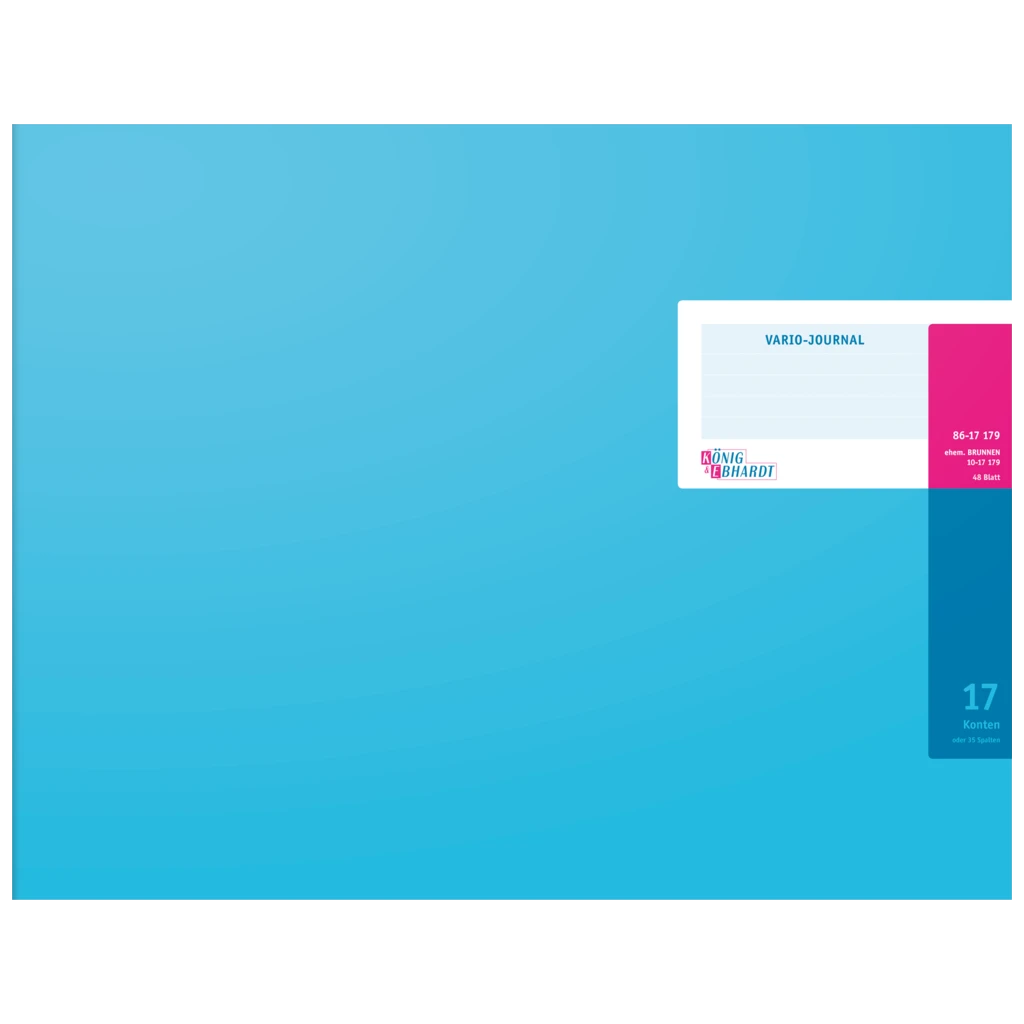 Vario-Journal mit Kopfleiste | 420×297 mm, 96 Seiten, Konten-Journal, Karton, magenta/hellblau