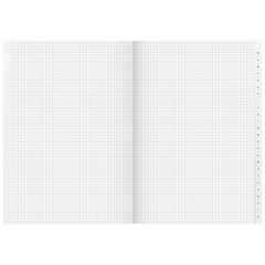 Kladde | A4, 192 Seiten, kariert, Karton, rot