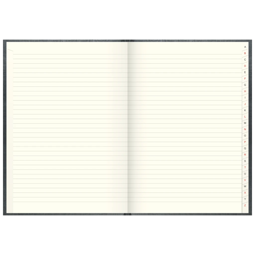 Registerbuch | A4, 288 Seiten, liniert, Kunststoff, grau