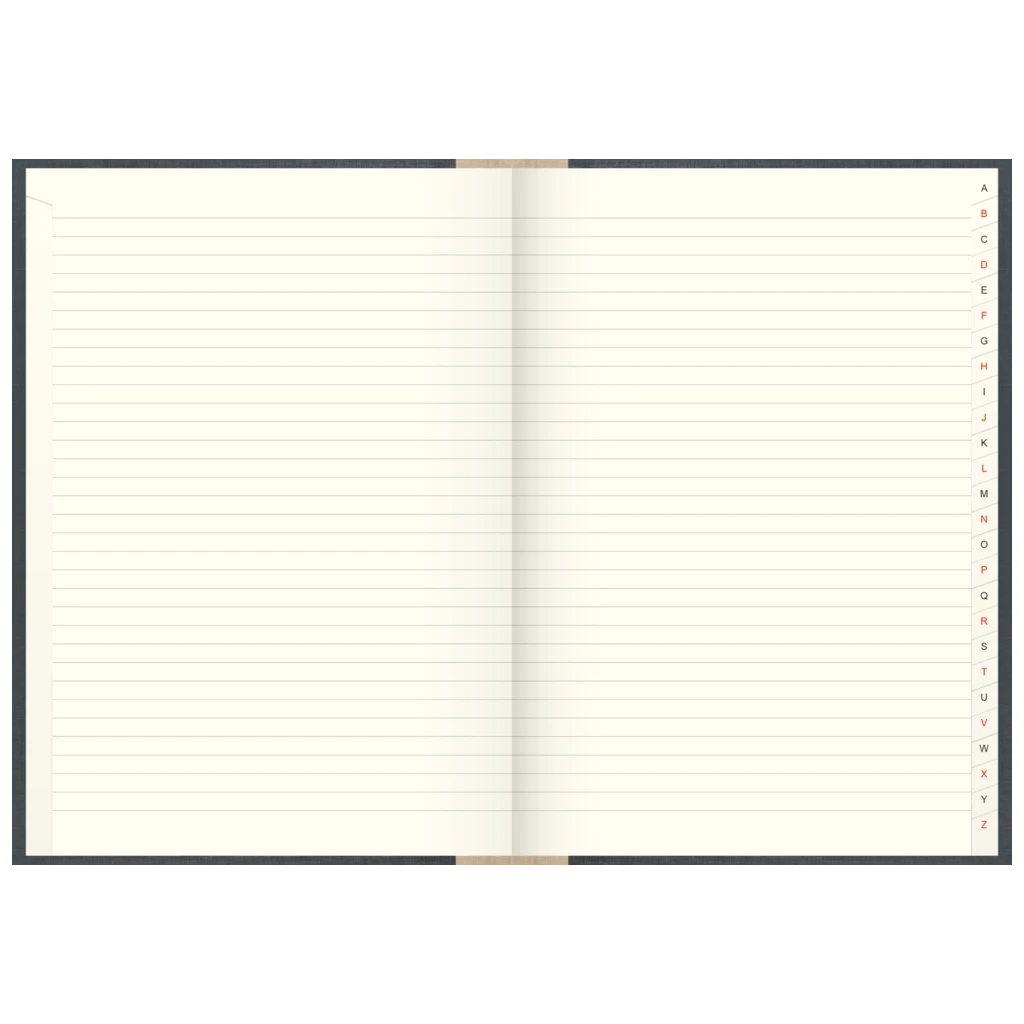 Registerbuch | A4, 384 Seiten, liniert, Kunststoff, grau