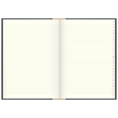 Registerbuch | A4, 384 Seiten, liniert, Kunststoff, grau