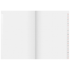 Kladde | A5, 192 Seiten, kariert, Karton, rot