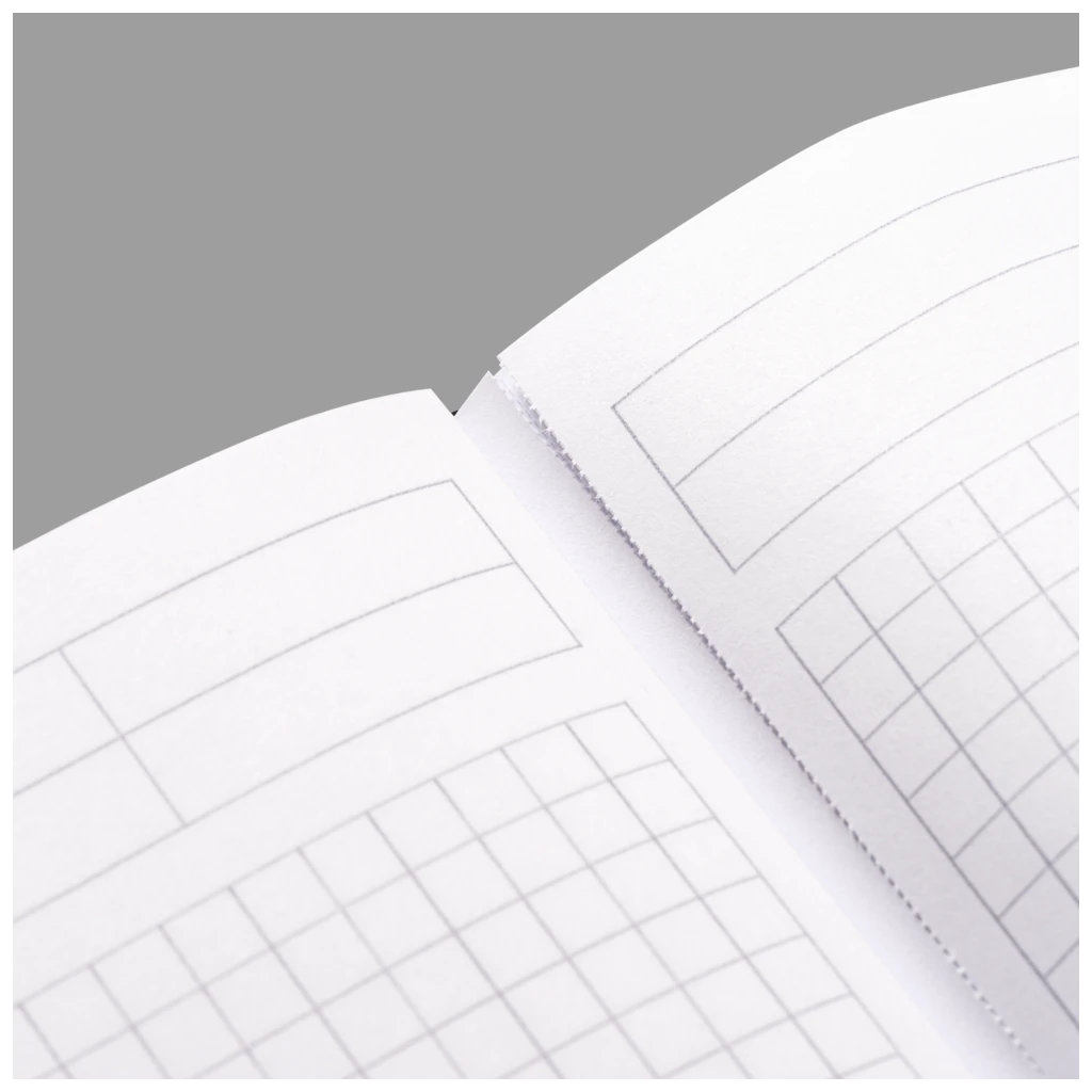 Protokollbuch | A4, kariert, schwarz